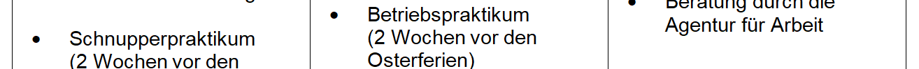 Prozess der Beruflichen Orientierung an der Hasselbrink-Schule